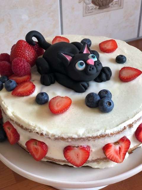 strawberry-cake-cat-topper